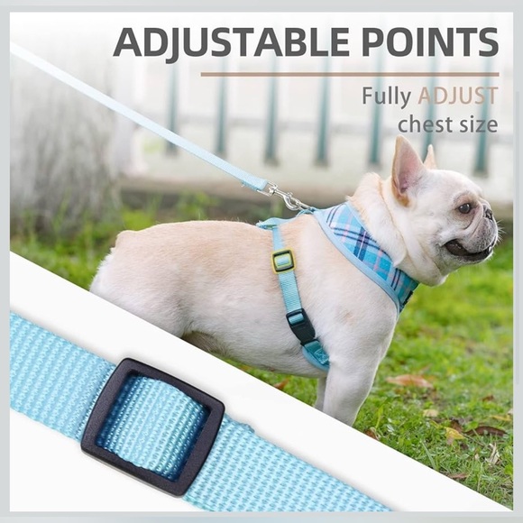 PUPTECK Soft Mesh Dog Harness and Leash SetComfort Padded Vest No Pull Harnesses - Picture 3 of 5